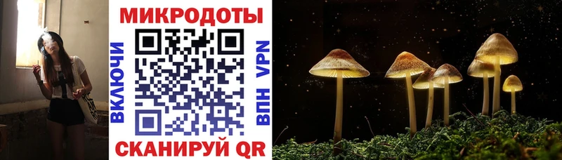 Галлюциногенные грибы Psilocybine cubensis  Старая Купавна 