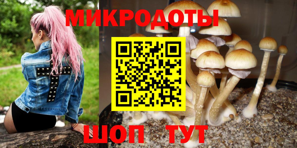 Псилоцибиновые грибы MAGIC MUSHROOMS Старая Купавна