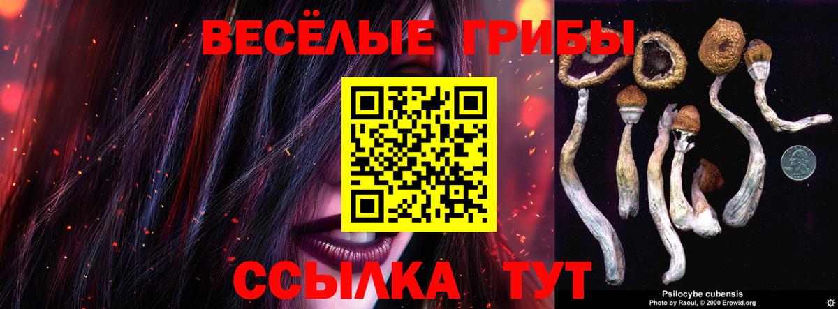 Псилоцибиновые грибы Psilocybine cubensis Старая Купавна