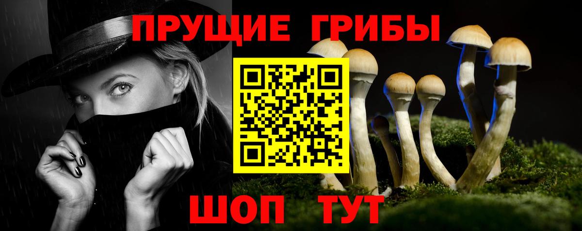 Псилоцибиновые грибы Psilocybe  Псилоцибиновые грибы Cubensis  Старая Купавна 