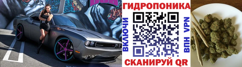 мега ТОР  Старая Купавна  Каннабис OG Kush 